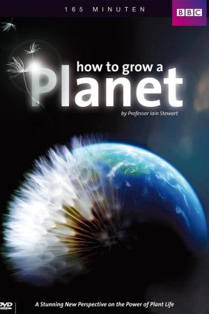 How to Grow a Planet